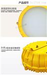 LED爆灯20W30W40W兆昌特种照明吸顶腐灯