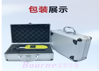泵吸式四合一气体检测仪