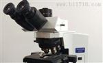 OLYMPUS/奥林巴斯 BX41 正置金相显微镜