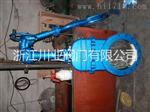  伞齿轮对夹式刀型闸阀 PZ573H-10