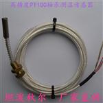 轴承电机绕线圈PT100温度传感器尺寸定制厂家