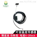 清易叶面温度传感器CG-17