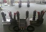 HZW32-12双电源开关10KV