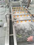 全自动清洗机,多功能净菜生产线