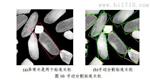 QNMZ-A大米外观品质分析仪