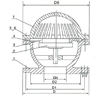 1558961854(1).jpg