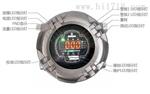 GTD5100F泵吸式气测仪