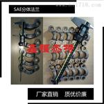 供应SAE法兰执行SN532 行业标准