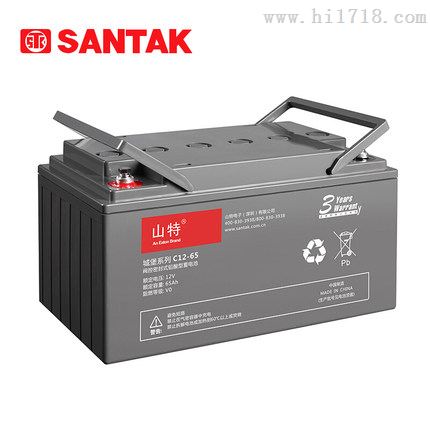 原装山特电池12V65AH C12-65全新