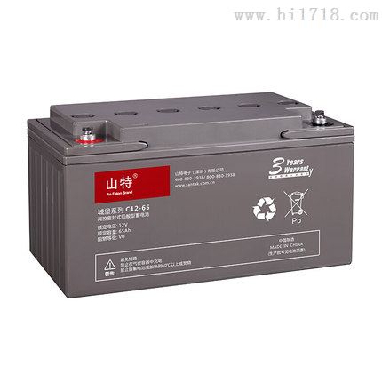 原装山特电池12V65AH C12-65全新