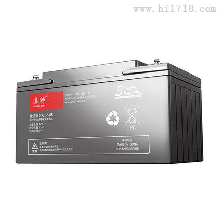 原装山特电池12V65AH C12-65全新