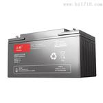 原装山特电池12V65AH C12-65全新
