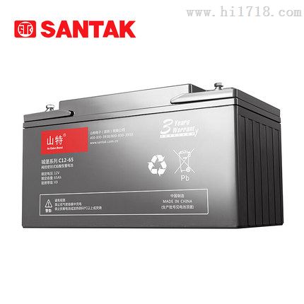 原装山特电池12V65AH C12-65全新